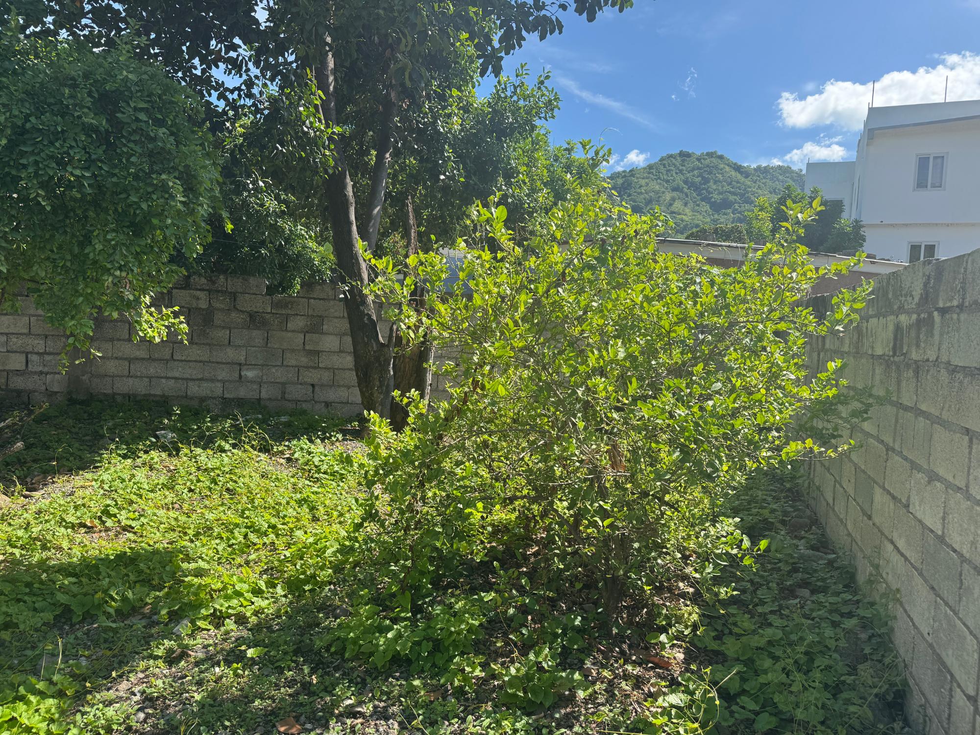 House For Sale: TAVERN CRESCENT, KINGSTON, Kingston 6 | $45,000,000 photo 21