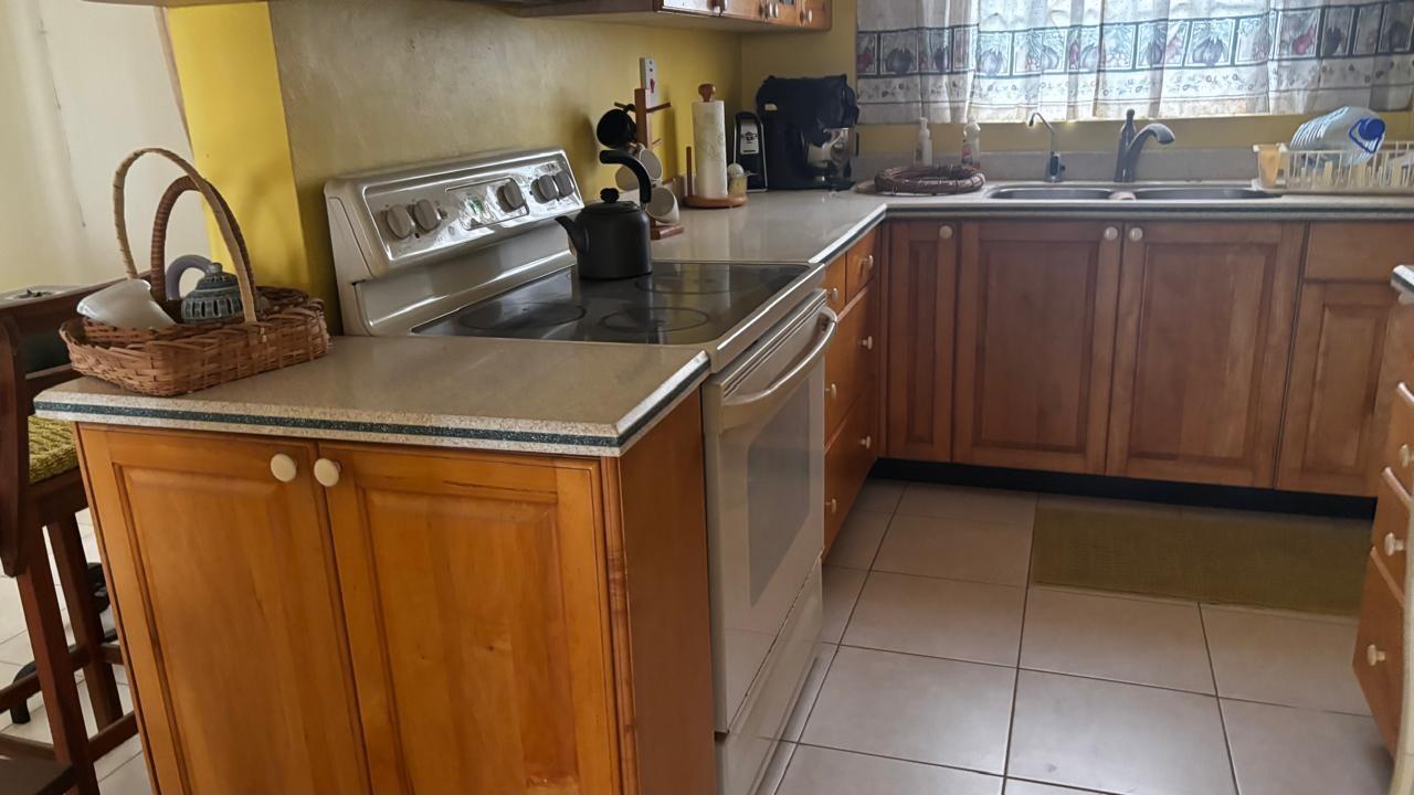 Townhouse For Sale: @~apos;VANTAGE POINT@~apos;, Red Hills | $55,000,000 photo 8