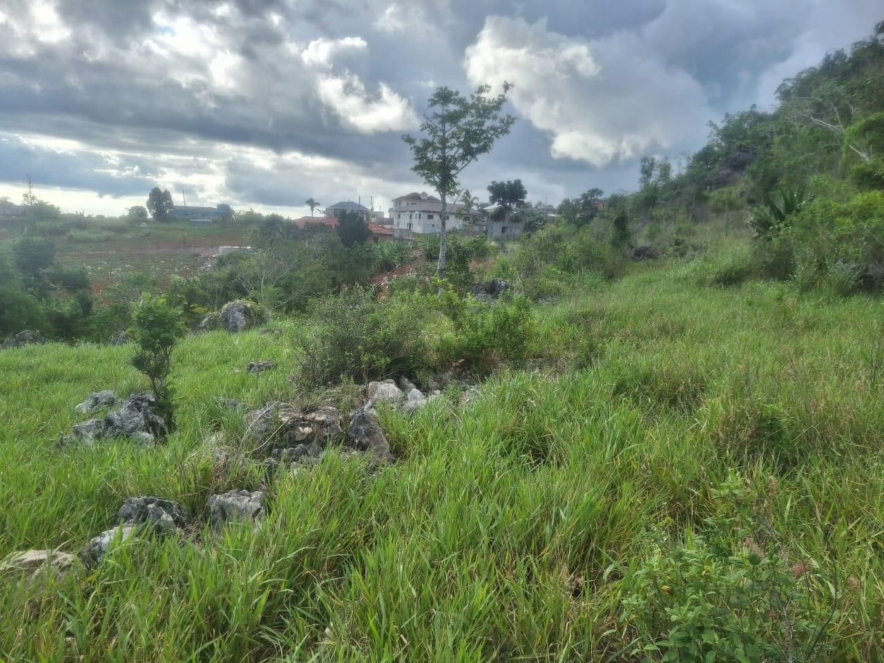 House For Sale: UPPER LINCOLN, Lincoln | $7,500,000 photo 4