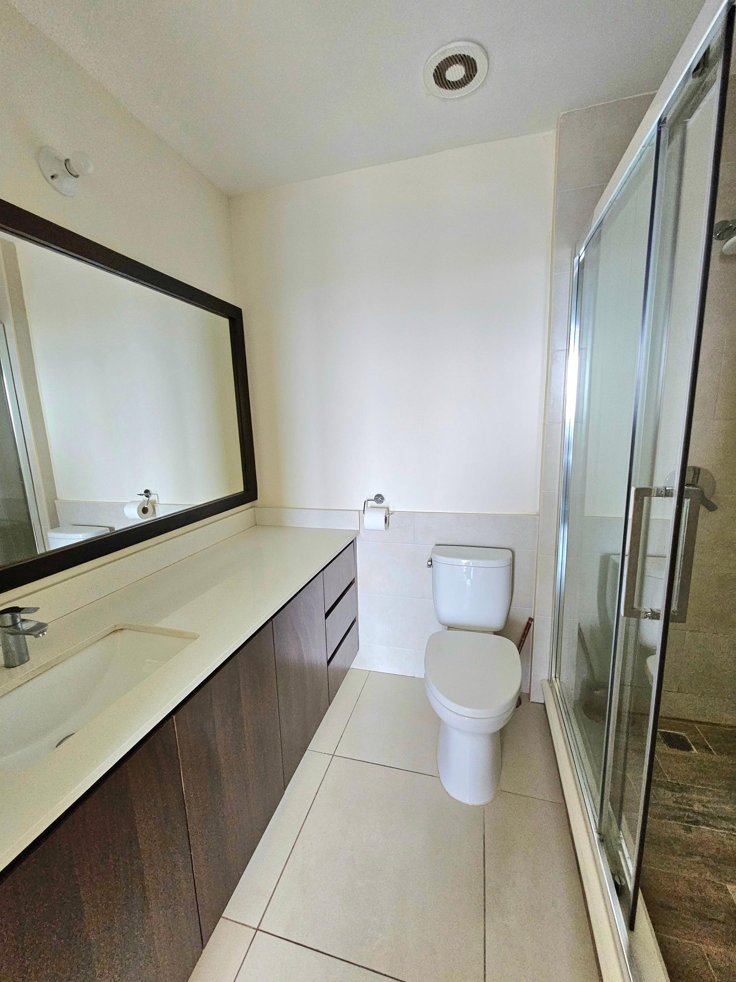 Apartment For Rent: MUSGRAVE AVE, Kingston 5 | $270,000 photo 7