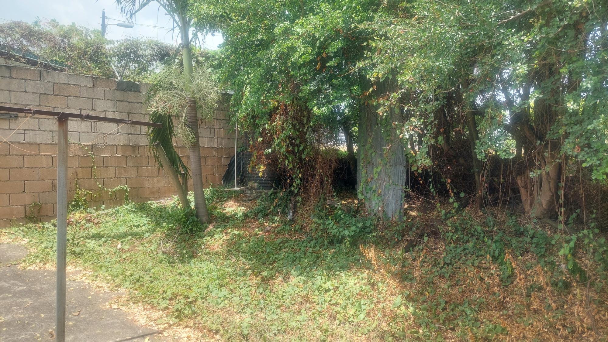 House For Sale: HAVENDALE, KINGSTON 19.ST, Kingston 19 | $90,000,000 photo 19
