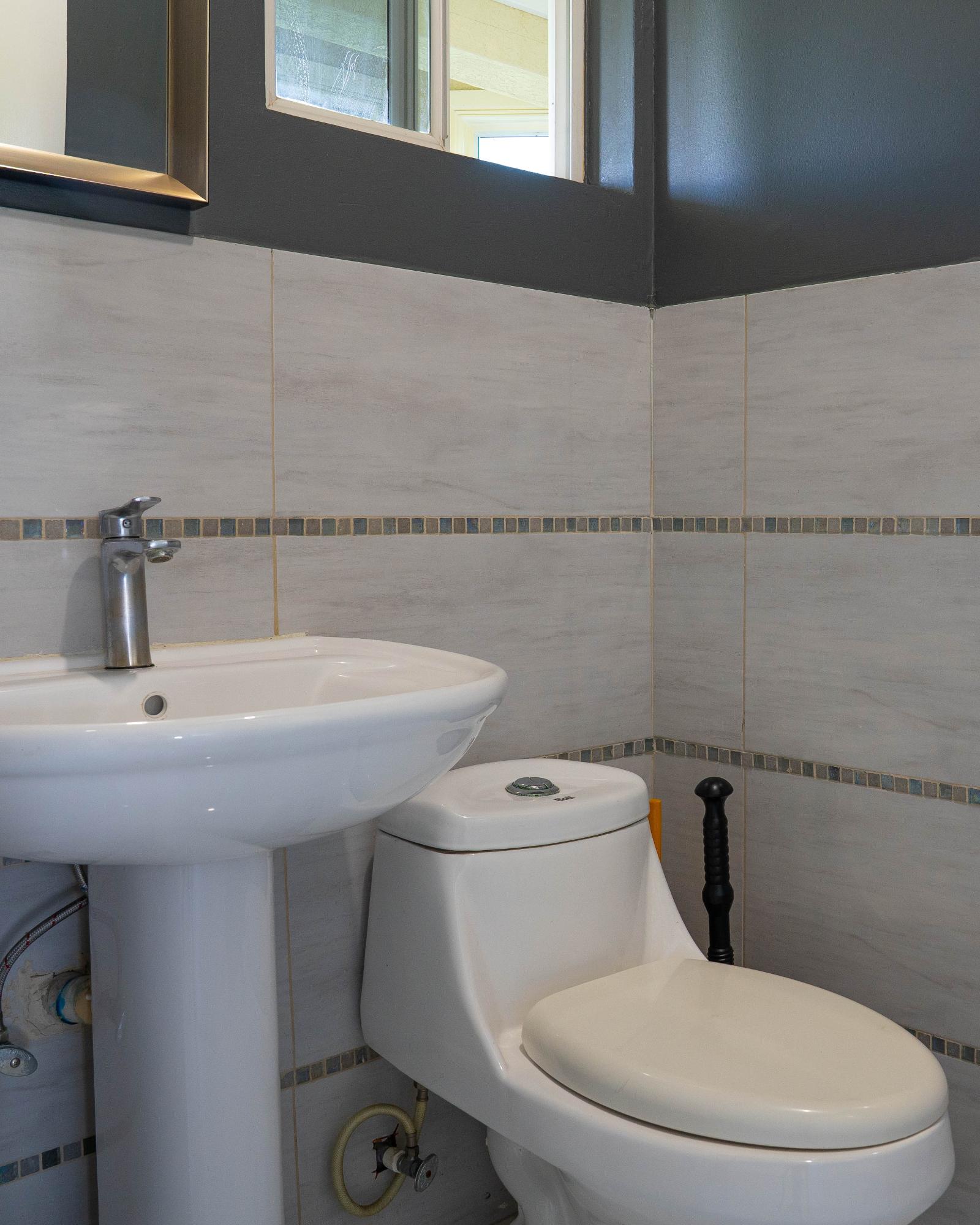 Apartment For Rent: DUKHARAN AVENUE, Kingston 8 | $250,000 photo 14