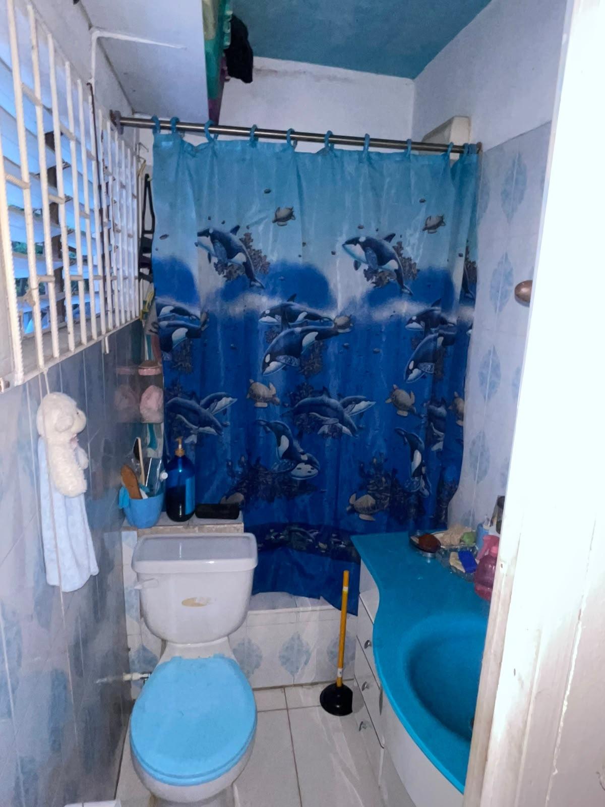House For Sale: WINDSOR HEIGHTS, SPANISH, Spanish Town | $40,000,000 photo 10