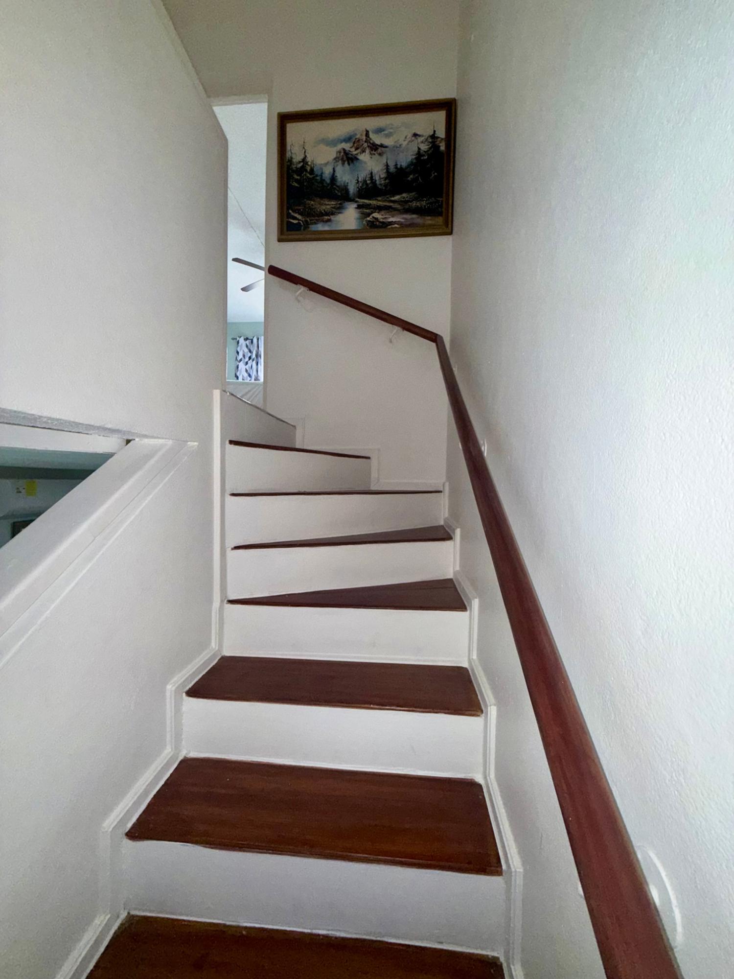 Apartment For Rent: HOPE ROAD, Kingston 6 | $190,000 photo 10