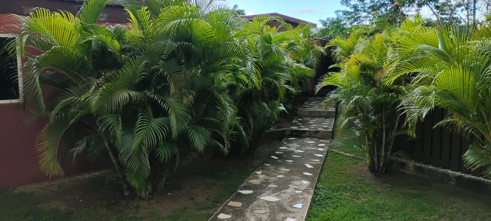 Apartment For Sale: WASHINGTON DRIVE, Kingston 10 | $33,500,000 photo 4