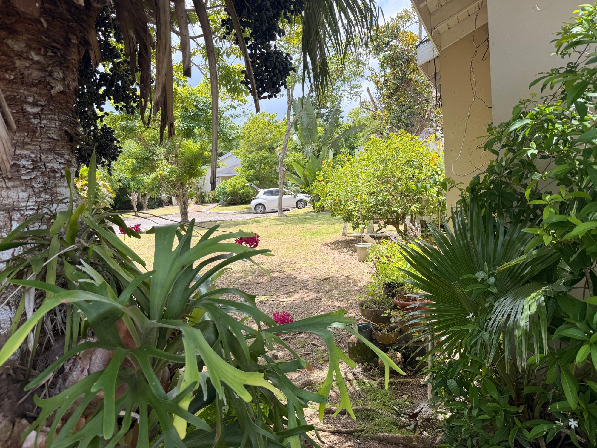 House For Sale: VILLAGE GREEN DRAX HALL, Drax Hall Estate | $209,000 photo 14
