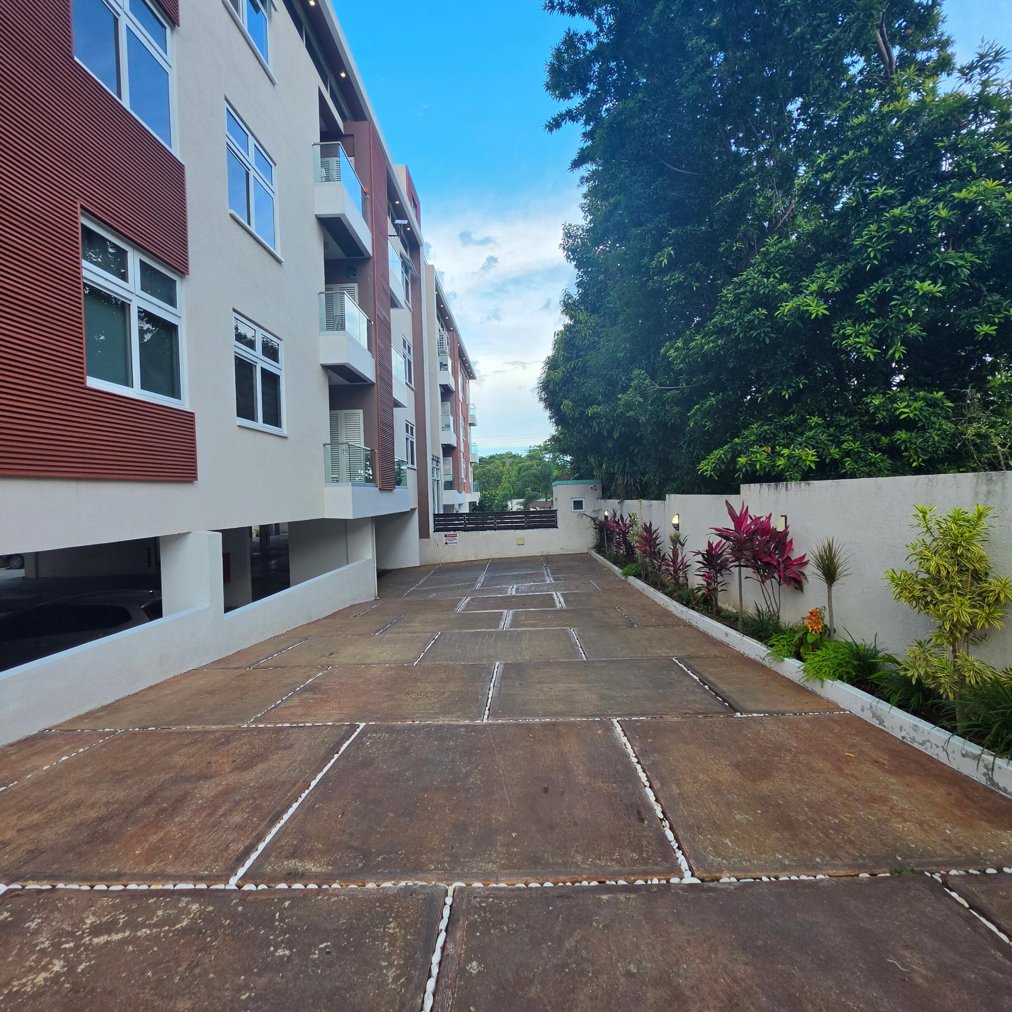 Apartment For Rent: CHARLEMONT AVENUE, Kingston 6 | $1,300 photo 20