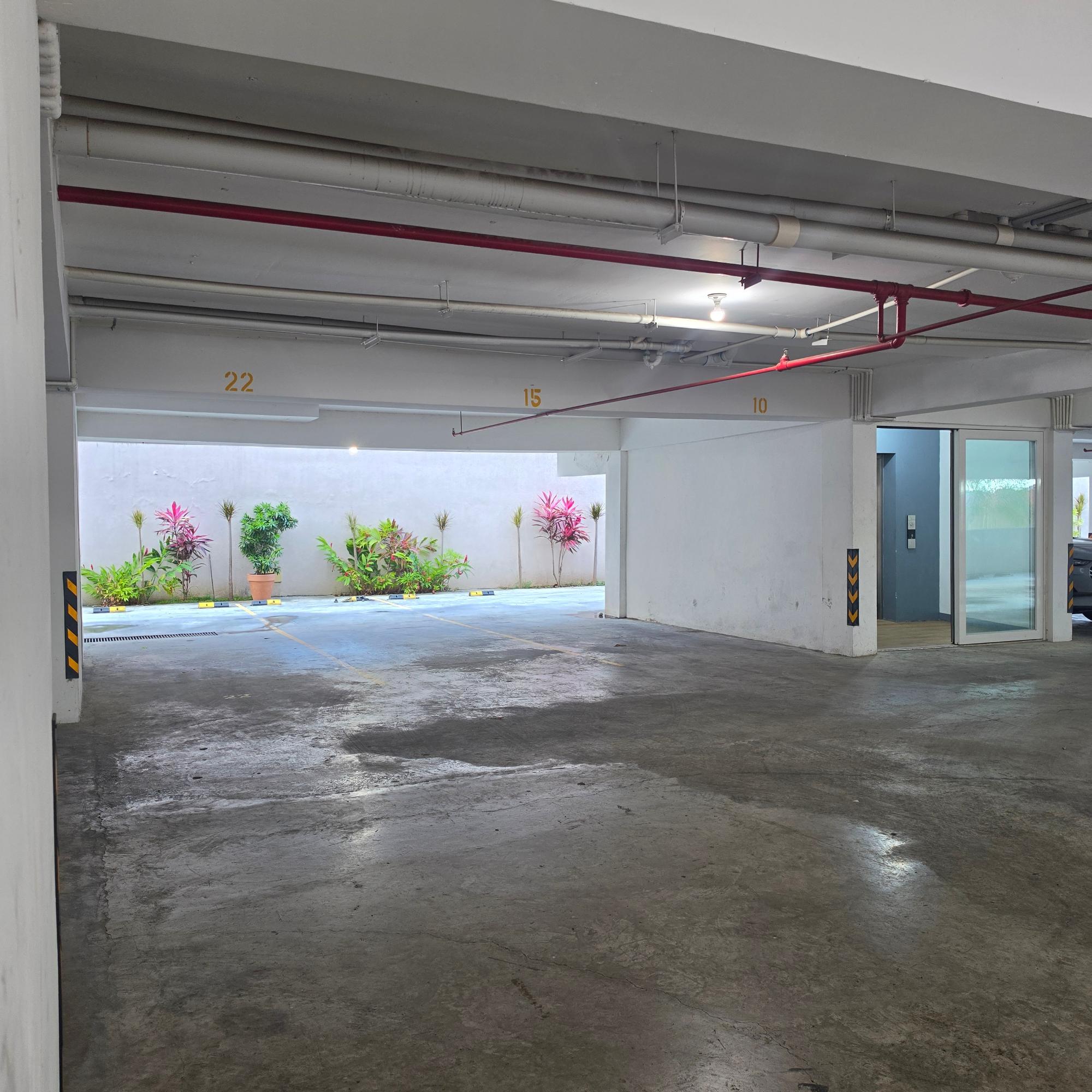 Apartment For Rent: CHARLEMONT AVENUE, Kingston 6 | $1,300 photo 21